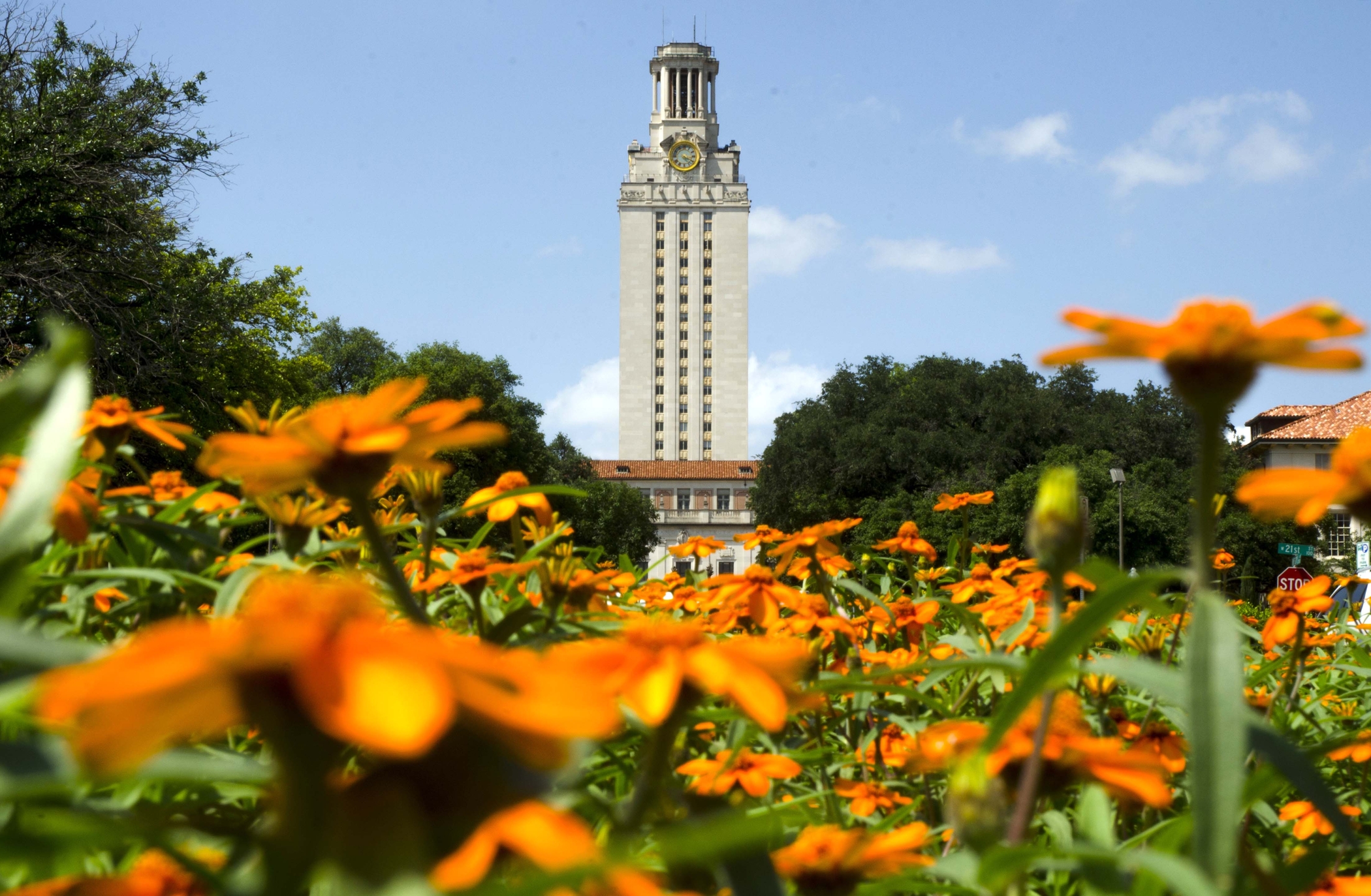 The UT tower behind flowers